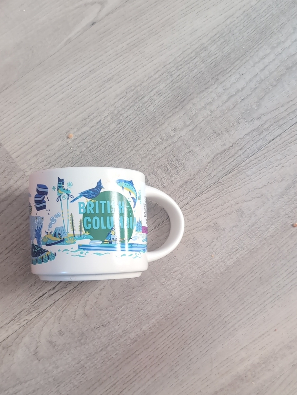 Starbucks Discovery Series British Columbia Mug 14oz - Excellent Condition!